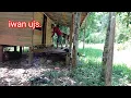 Download Lagu Mangambil perlalatan masak dikebun durian ibu bersi sapah beserakan.!!