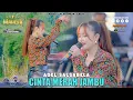 Download Lagu Adel Salsabela - Cinta Merah Jambu I Mahesa Music Live Kedamean - Gresik