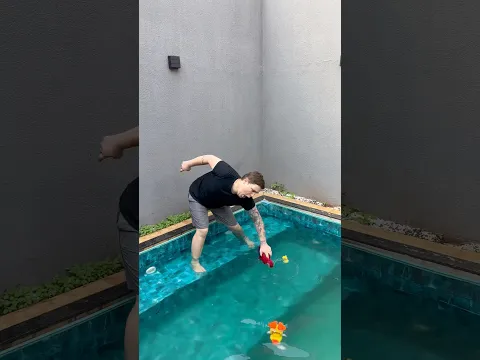 quando o filho pega o papagaio na floresta e deixa ele nadar na piscina funda 😂