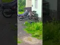 Lagu kodipilalu #kodipillalu #trending #newfolksongs #viral #remix #shorts #youtubetrending #shortvideo