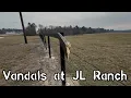 Lagu Vandals at JL Ranch!