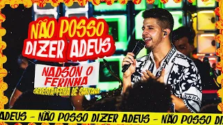 Não Posso Dizer Adeus - Nadson o Ferinha  (SERESTA IN FEIRA DE SANTANA)