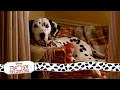 Download Lagu Anita's Little Surprise | (7/15) Movie Scenes | 101 Dalmatians (1996) HD