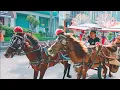 Download Lagu Lagu anak populer🦓lagu naik delman istimewa🦓lagu anak ballita populer.