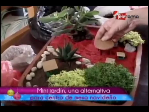 Mini jardín, una alternativa para centro de mesa navideño