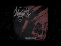 Download Lagu Mavorim - Missraten und verkommen (New Track)