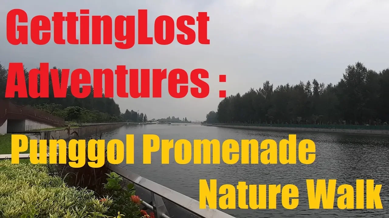 GettingLost Adventures : Punggol Promenade Nature Walk