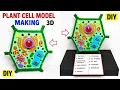 plant cell model making 3d for science project exhibition - biology project