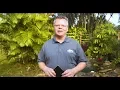 How to Use a Pond Liner Patch