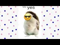 haha yes the hedgehog