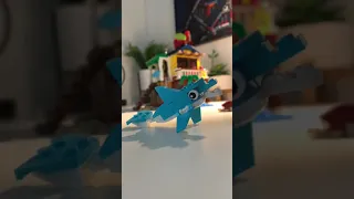                                        دندنها
