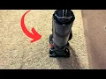 Why I Love the Shark Navigator DLX Vacuum and How to Use