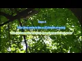 Jolene by Dolly Parton play along with scrolling guitar chords and lyrics - Dolly Parton