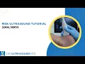 Sural nerve