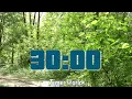 Download Lagu 30 Minute Timer [Forest Bird Sounds] 🔔🐦🌳