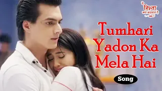 tumhari yadon ka mela hai navin tripathi u0026 alka yagnik ye rishta kya kehlata hai sad song 