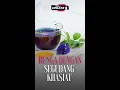Download Lagu Manfaat Bunga Telang sebagai Rahasia Kecantikan Kulit yang Wajib Kamu Coba!