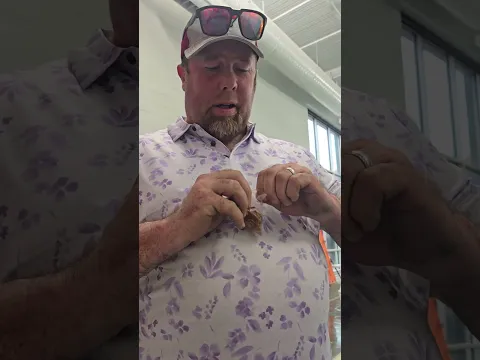 Steve & the Insects #ronpratt #midwesttruck #funny