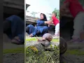 Download Lagu little boy is afraid of snails #snail #snaillife #snailvideo #bekicot #siput