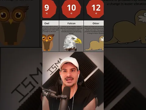 Encontré los Animales Más Inteligentes