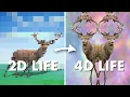 Simulating Biology in Other Dimensions