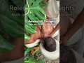Release All Mental Tension