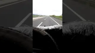 منين اجيبك يالرحت غفلة من أيدي ضياء الصغير 