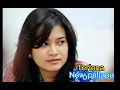 Download Lagu NEW PALLAPA.TERLENA (ikke nurjana)