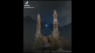 تولي العمر في ســـهو وفي لهو وفي خسر فيا ضيعة مــــا أنفقـــت في الأيام من عمري 