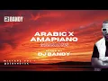 Download Lagu Arabic Amapiano Sessions