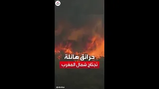 النيران تعبر المتوسط اشتعال حرائق هائلة في شمال المغرب 