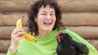Can Chickens Eat Bananas
