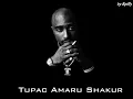 2Pac ft Stretch - Pain
