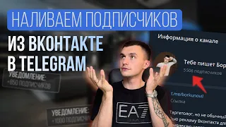 Как дешево набирать подписчиков в Телеграм через Вконтакте в 2024 году? Пошаговая инструкция.