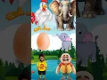 Download Lagu হাতি পারে আন্ডা 😂 funny video #comedy #automobile #jaglez #khirerputul #jericoacoara #youtubeshorts