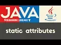 Static Class Attributes Java Tutorial 32