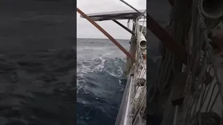 #sailing #oceansailing #oceancrossing