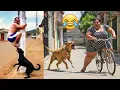 Lagu THE BEST FUNNY VIDEOS 😅 | Try Not To Laugh Challenge 😂 Funniest Comedy Compilation (Part 1)