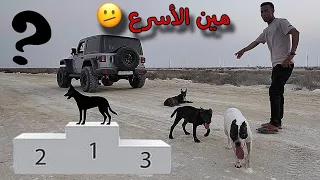 اصعب قرار !! الخسران راح نتخلى عنه 💔 ماتوقعت كذا تكون نتيجة السباق 😳