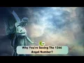 Why You re Seeing The 1244 Angel Number