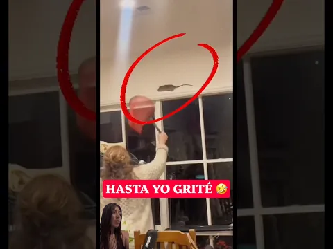 Que miedo 🤣 #ratones #rat #funny #humor # #viral #comedy #laughs