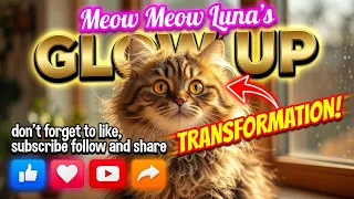 Meow Meow Luna || Cat Grooming Makeover & Glow Up || #cat  #funny  #memes   #football    #luna 