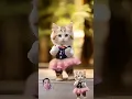 Download Lagu #kucing #kucinglucu #cat #catlover #cute #kucingimut #kucinggemoy #tatitut #dance #funnyanimal