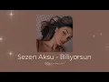 Sezen Aksu - Biliyorsun (𝑆𝑝𝑒𝑒𝑑 𝑢𝑝)
