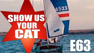 Show us your cat! Episode 63 USA, USA and USA