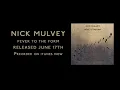 Nick Mulvey - Fever to the Form