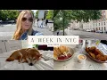 a week in NYC Broadway Brooklyn dog sitting all the things I didn t do when I lived there