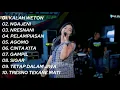 Download Lagu DINDA TERATU FULL ALBUM SHAUN THE SHEEP STS
