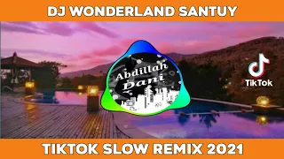 Download DJ WONDERLAND SANTUY TERBARU || DJ TIKTOK VIRAL 2021 MP3