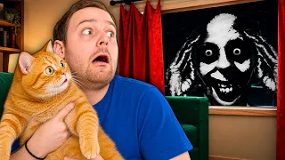 CSAK 7 NAPIG KELL VIGYÁZNOM A CICÁRA… 😱